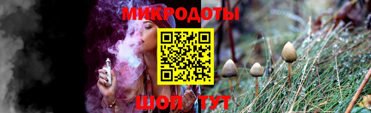 Псилоцибиновые грибы Cubensis Полысаево